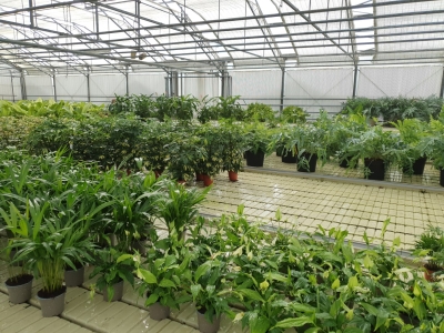 2023-03-16Centrehorticolerungis