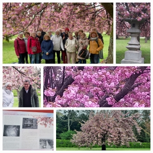 2023-04-17Hanami