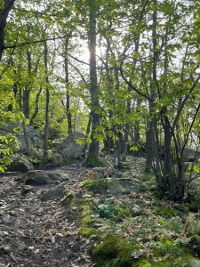 2024-04-29RandoBallancourt
