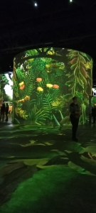2025-03-04AtelierLumieresPicassoDouanierRousseau