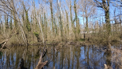 2025-03-20RandoVertLePetit