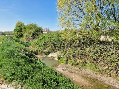 2025-04-10ObservationOiseauxSaclay