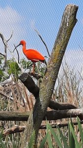 2025-05-17SortieIntergenerationParcParrotWorld