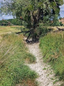 2025-06-27RandoRestVertLeGrand