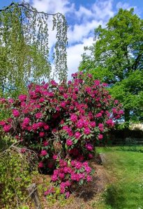 2026-04-20SaintMande