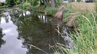 2026-07-02RandoAperoVertLeGrand